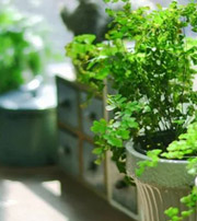 石嘴山专属于你的开运指南，助你鸿运当头福满身！