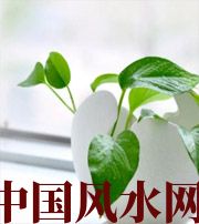 石嘴山家中摆放六种吉祥物，会打开您的财运大门！