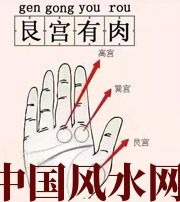 石嘴山这个地方肉越多，财运就越好