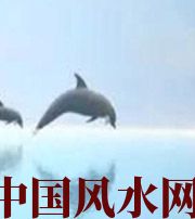 石嘴山做梦梦到这些，是要富裕的征兆！